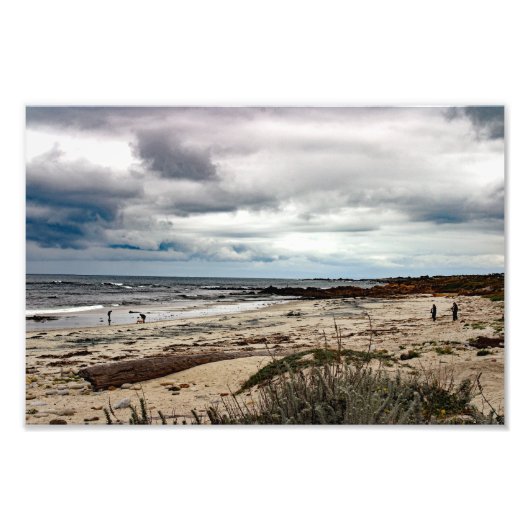 17 Mile Drive Foto Afdruk (Voorkant)