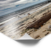17 Mile Drive Foto Afdruk (Hoek)