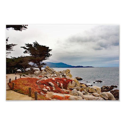 17 Mile Drive Foto Afdruk (Voorkant)