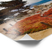 17 Mile Drive Foto Afdruk (Hoek)