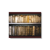 17e eeuw Vellum Bindings Antiek boeken Canvas