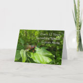 17e verjaardag van Cicada Kaart (Voorkant)