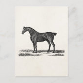 1800 Engelse Hunter Horse Hunting Horses Briefkaart (Voorkant)