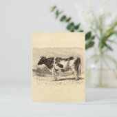  1800 grote Nederlandse koeienvangers Geel Briefkaart (Staand voorkant)