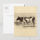  1800 grote Nederlandse koeienvangers Geel Briefkaart (Voorkant / Achterkant)