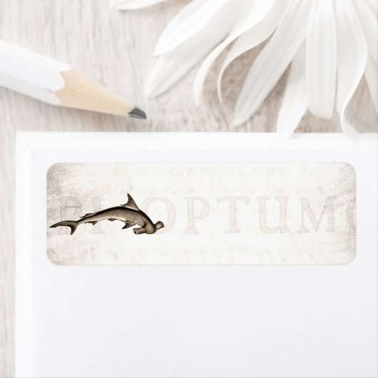 1800 Hammerhead Shark Old Hammer Head Etiket (Insitu)