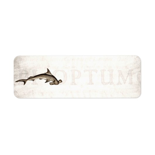 1800 Hammerhead Shark Old Hammer Head Etiket (Voorkant)