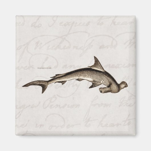  1800 Hammerhead Shark Old Hammer Head Magneet (Voorkant)