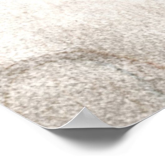  1800 Hammerhead Shark Old Hammer Head Poster (Hoek)