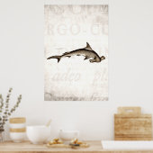 1800 Hammerhead Shark Old Hammer Head Poster (Keuken)
