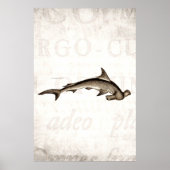  1800 Hammerhead Shark Old Hammer Head Poster (Voorkant)
