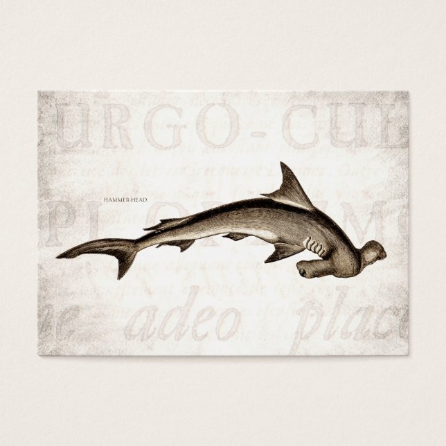  1800 Hammerhead Shark Old Hammer Head Visitekaartje (Voorkant)