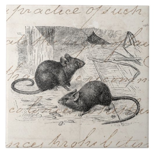  1800-serie Barn Mouse Retro Mice Parchment Tegeltje (Voorkant)