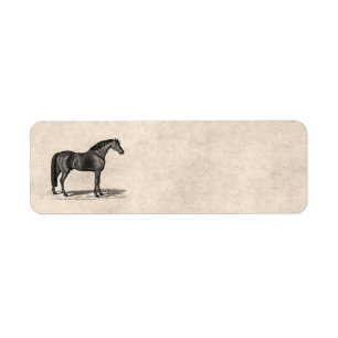 1800-serie-illustratie van Arabisch paard - paard Etiket