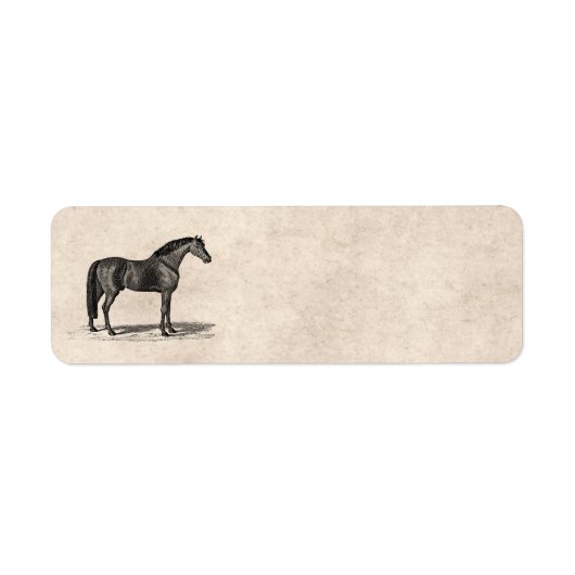  1800-serie-illustratie van Arabisch paard - paard Etiket (Voorkant)