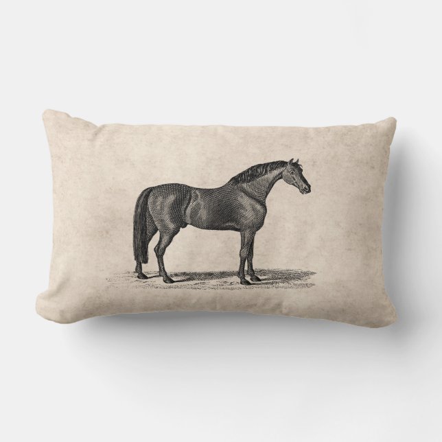  1800-serie-illustratie van Arabisch paard - paard Kussen (Voorkant)