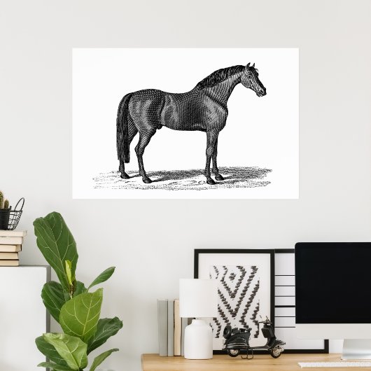 1800-serie-illustratie van Arabisch paard - paard Poster (Thuiskantoor)