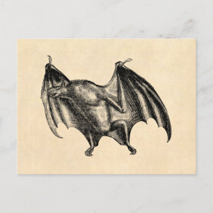 1800 Vampire Bat Illustration - Halloween Briefkaart