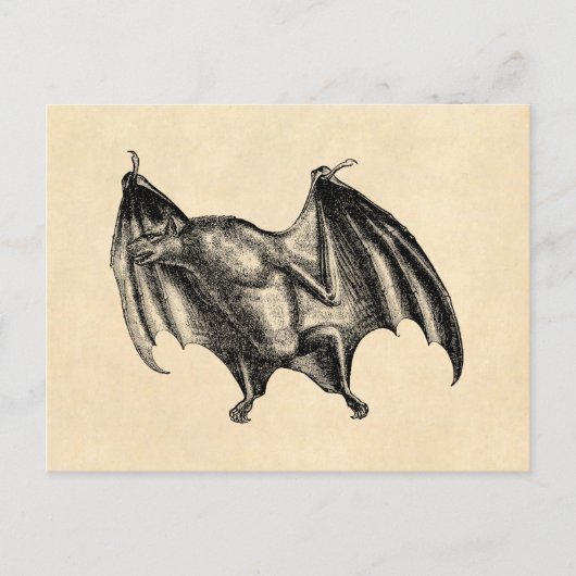  1800 Vampire Bat Illustration - Halloween Briefkaart (Voorkant)