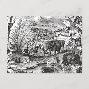 1800s Afrikaanse dieren ter illustratie van diere Briefkaart