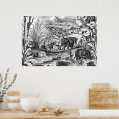  1800s Afrikaanse dieren ter illustratie van diere Poster (Keuken)