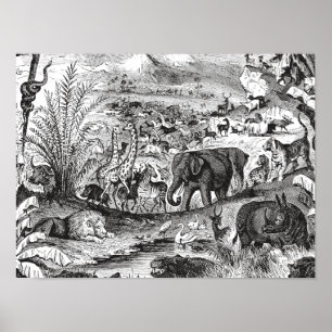  1800s Afrikaanse dieren ter illustratie van diere Poster