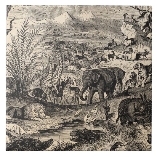 1800s Afrikaanse dieren ter illustratie van diere Tegeltje (Voorkant)