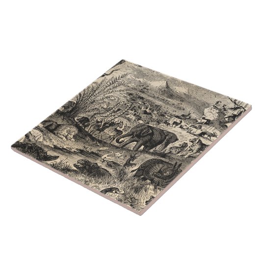  1800s Afrikaanse dieren ter illustratie van diere Tegeltje (Zijkant)