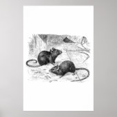 1800s Barn Mouse Retro Mice Illustration Poster (Voorkant)