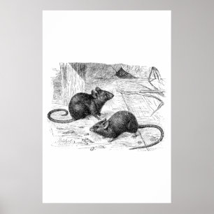  1800s Barn Mouse Retro Mice Illustration Poster