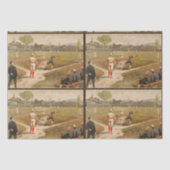  1800s Baseball-ontvlechting Tissuepapier (Voorkant)