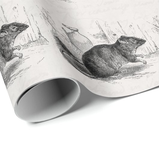  1800s Brown Barn Rat Rats Illustration Cadeaupapier (Rol Hoek)