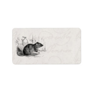  1800s Brown Barn Rat Rats Illustration Etiket