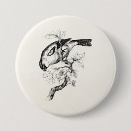  1800s Bullfinch Bird Illustration - Birds Ronde Button 7,6 Cm