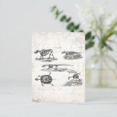  1800s Dierlijke skeletten Antiek anatomie Briefkaart (Staand voorkant)