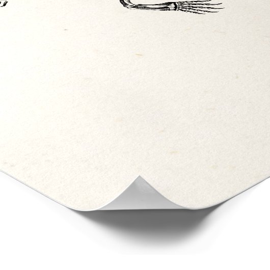  1800s Dierlijke skeletten Antiek anatomie Poster (Hoek)