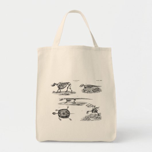  1800s Dierlijke skeletten Antiek anatomie Tote Bag (Voorkant)