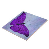  1800s Donkere Paarse vlinderillustratie Tegeltje (Zijkant)