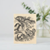  1800s Eekhoorn Illustratie - Eekhoorn Briefkaart (Staand voorkant)