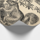  1800s Eekhoorn Illustratie - Eekhoorn Cadeaupapier (Hoek)