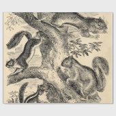  1800s Eekhoorn Illustratie - Eekhoorn Cadeaupapier (Vlak)