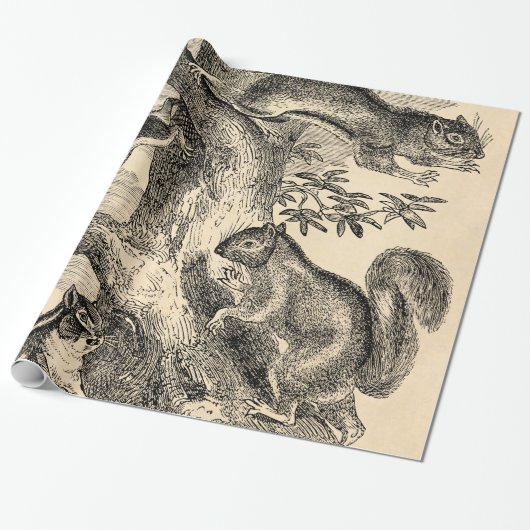  1800s Eekhoorn Illustratie - Eekhoorn Cadeaupapier (Uitgerold)