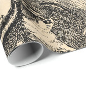  1800s Eekhoorn Illustratie - Eekhoorn Cadeaupapier (Rol Hoek)