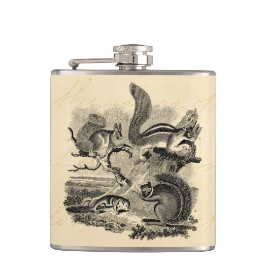1800s  eekhoorns illustratie - eekhoorn heupfles (Voorkant)