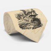 1800s  eekhoorns illustratie - eekhoorn stropdas (Opgerold)