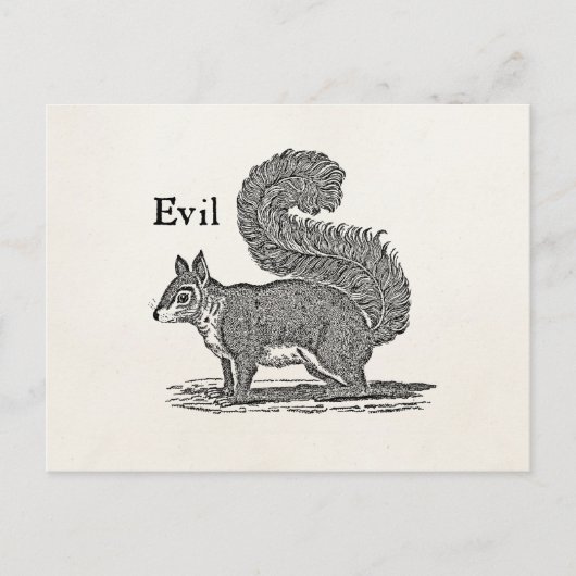 1800s Evil Squirrel Illustratie Briefkaart (Voorkant)