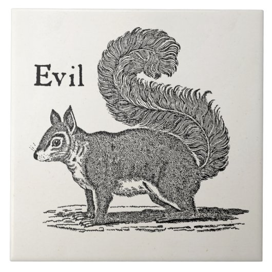 1800s Evil Squirrel Illustratie Tegeltje (Voorkant)