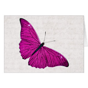 1800s Fuchsia Hot-Pink Butterfly Sjabloon