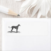  1800s Greyhound Dog Illustration - Honden Etiket (Insitu)