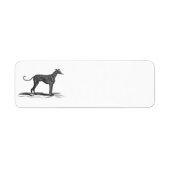  1800s Greyhound Dog Illustration - Honden Etiket (Voorkant)